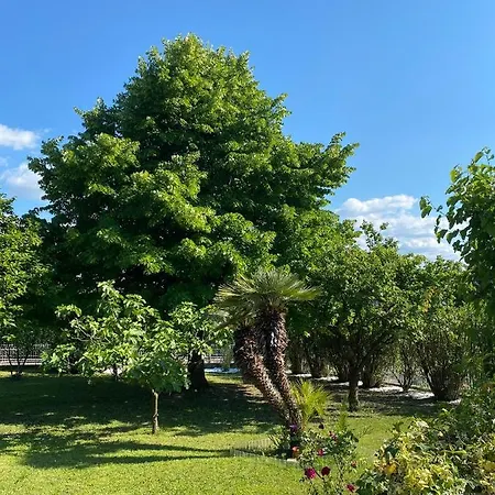 Bellavista 37 Holiday home Bardolino